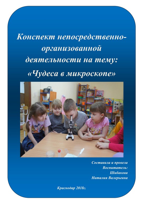 конспект опытно экспериментальная работа Шибаковой 1