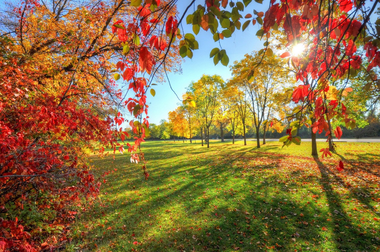 park nebo alleya derevya listya osen